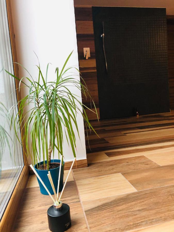 Mala Czantoria Apartment Устрон Екстериор снимка